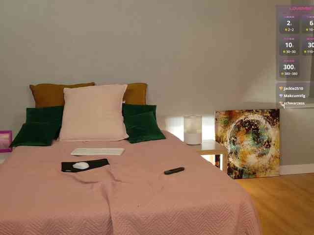 Visbee webcam