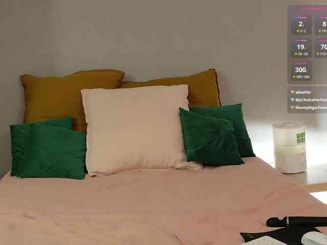 Visbee webcam