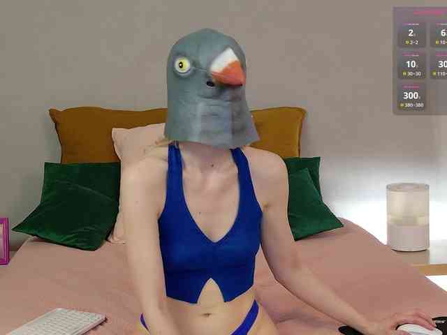 Visbee webcam
