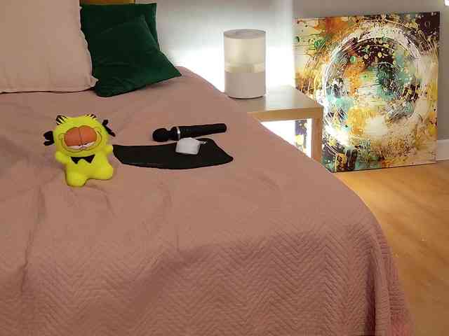 Visbee webcam