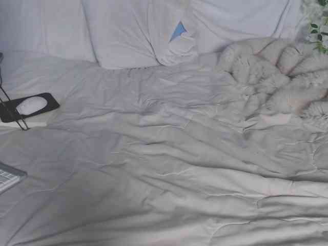 ViteR_ webcam