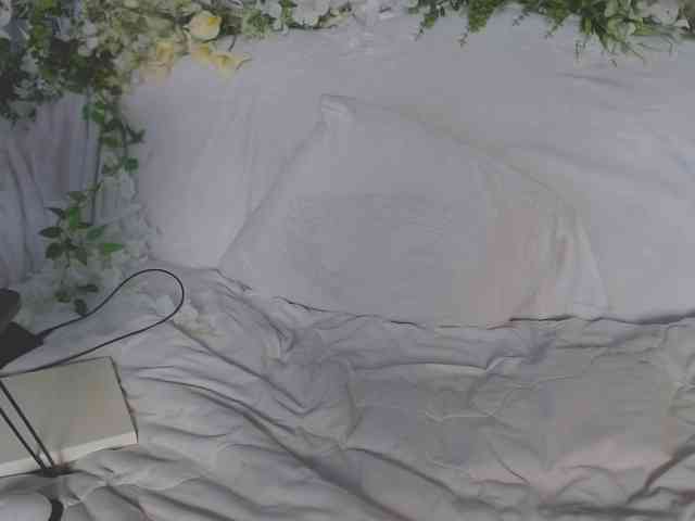 ViteR_ webcam