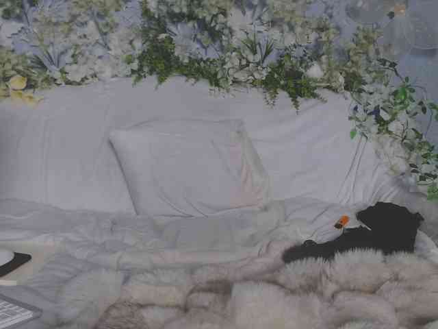 ViteR_ webcam