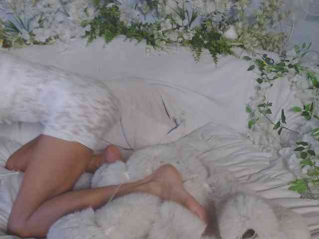 ViteR_ webcam