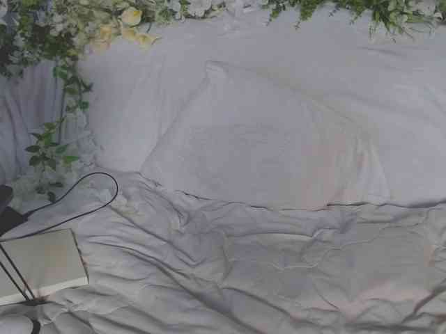 ViteR_ webcam
