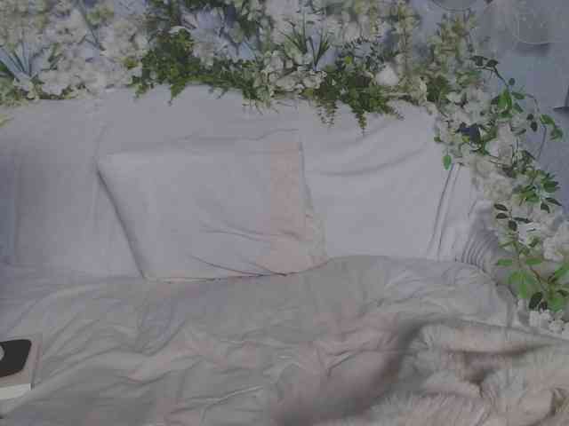 ViteR_ webcam