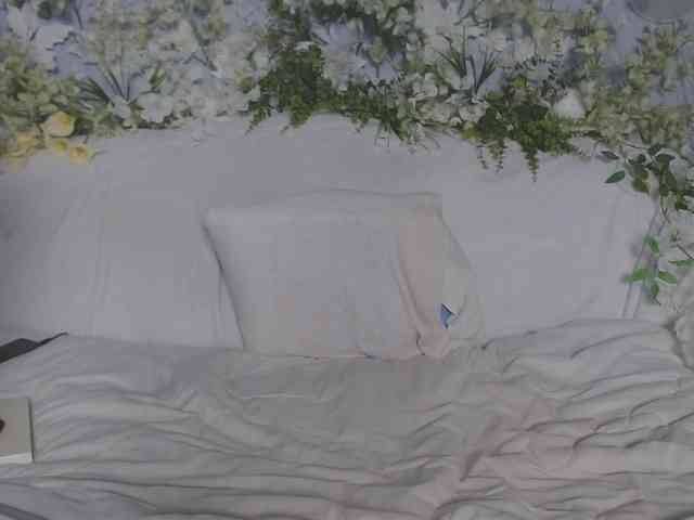 ViteR_ webcam