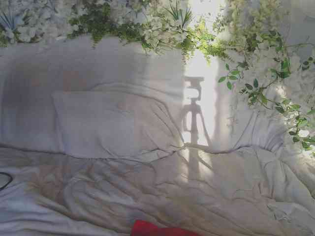 ViteR_ webcam