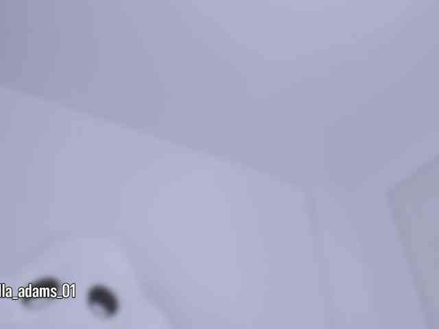 bella-adams webcam