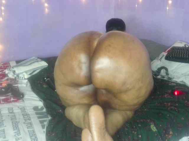 Big-Ass-Wilma webcam