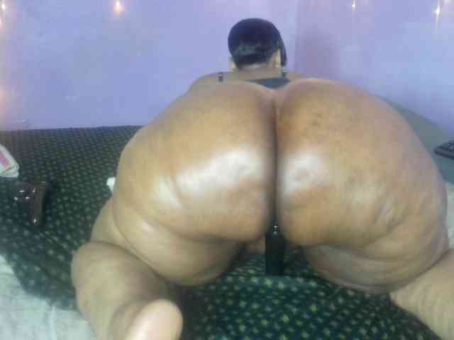 Big-Ass-Wilma webcam