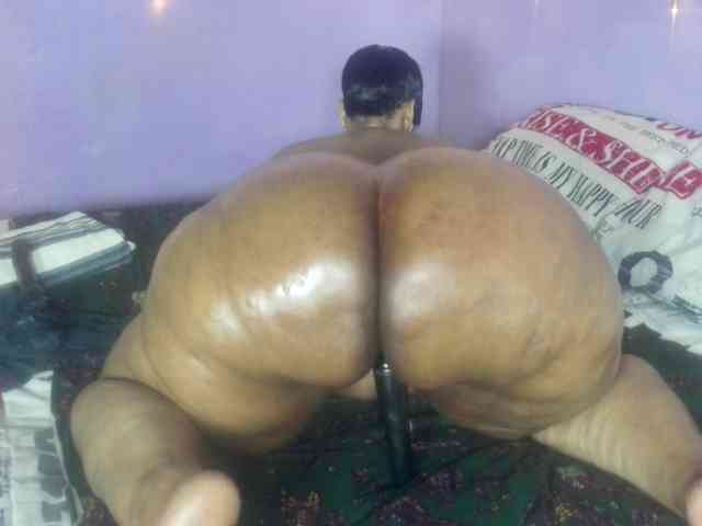 Big-Ass-Wilma webcam