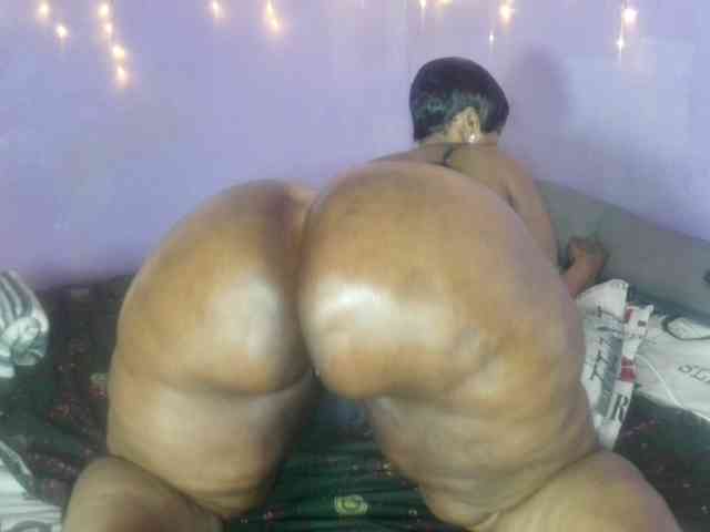 Big-Ass-Wilma webcam