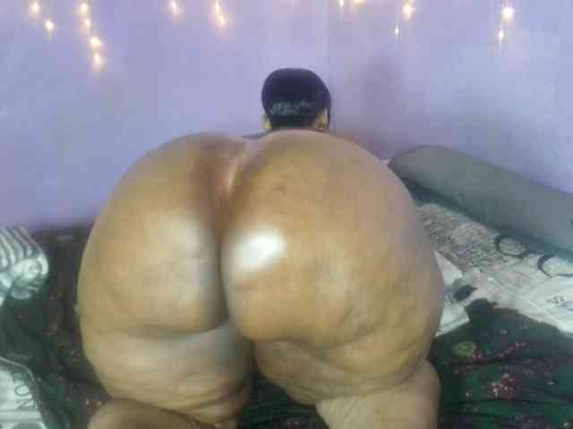 Big-Ass-Wilma webcam