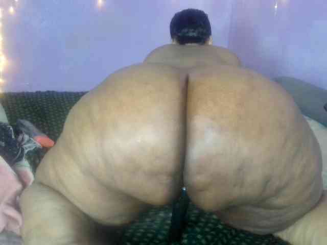 Big-Ass-Wilma webcam
