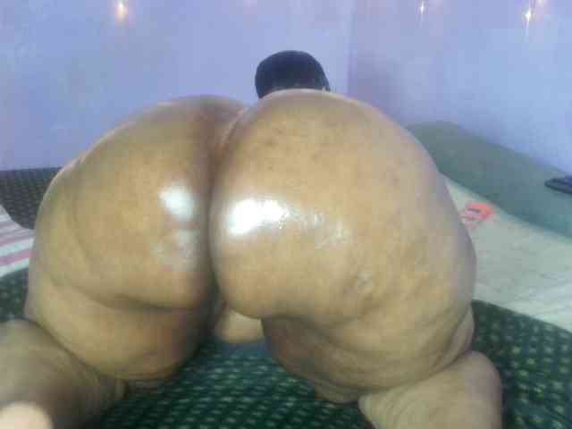 Big-Ass-Wilma webcam