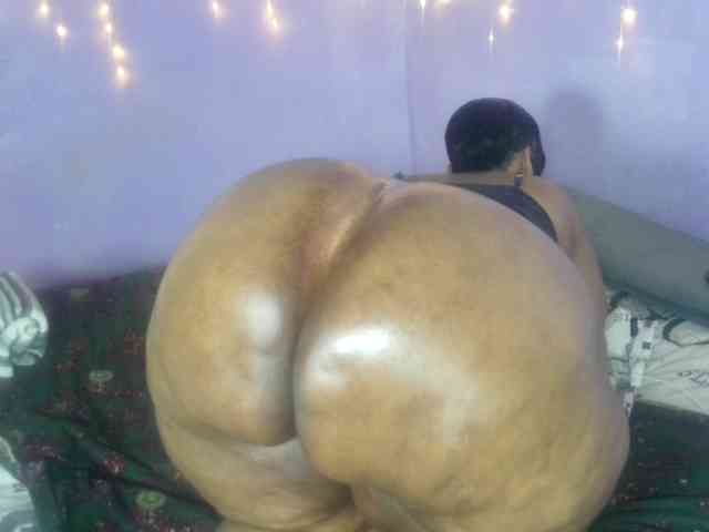 Big-Ass-Wilma webcam