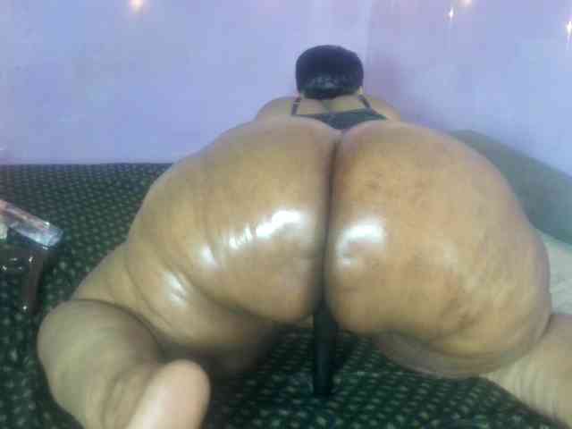 Big-Ass-Wilma webcam