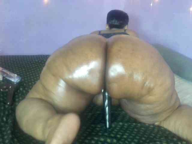 Big-Ass-Wilma webcam