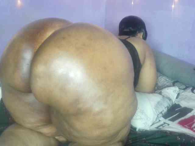 Big-Ass-Wilma webcam