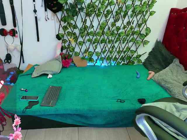 elektra-32 webcam