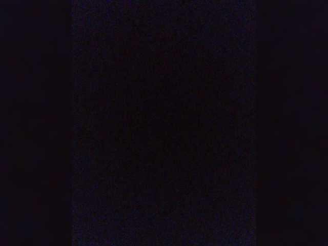 Wtwins webcam