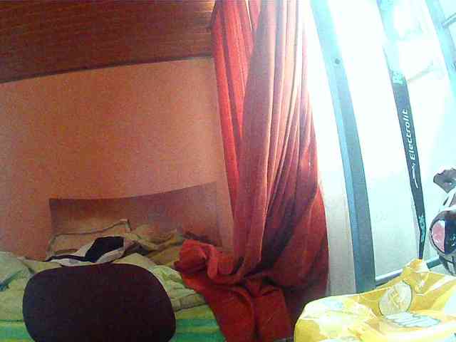 Wtwins webcam