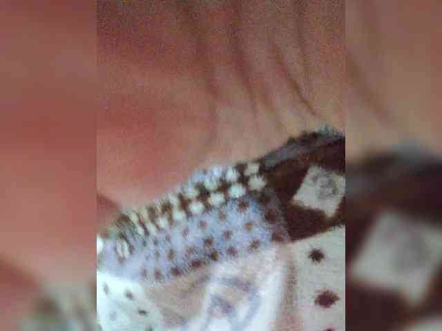 Wtwins webcam