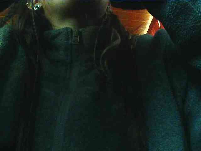 Wtwins webcam