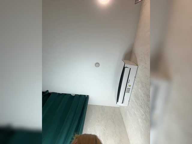 Ellidi webcam