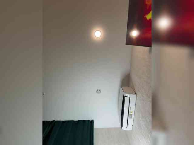 Ellidi webcam