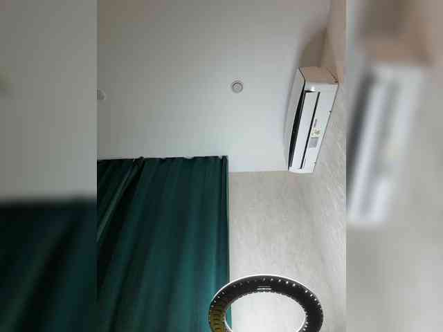 Ellidi webcam