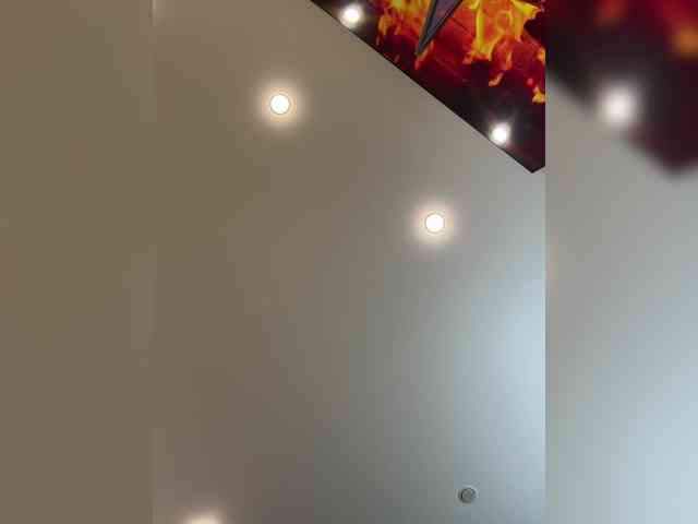 Ellidi webcam