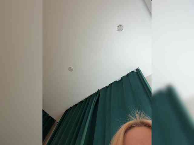 Ellidi webcam