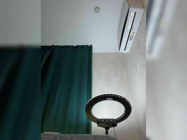 Ellidi webcam