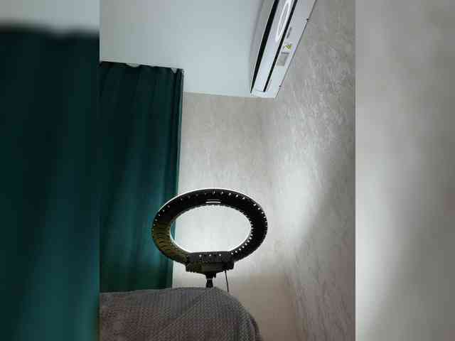 Ellidi webcam