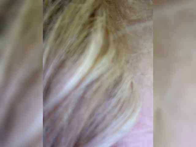 Ellidi webcam