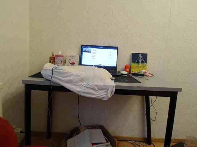 IrinaLitvinova webcam