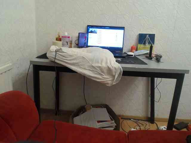 IrinaLitvinova webcam