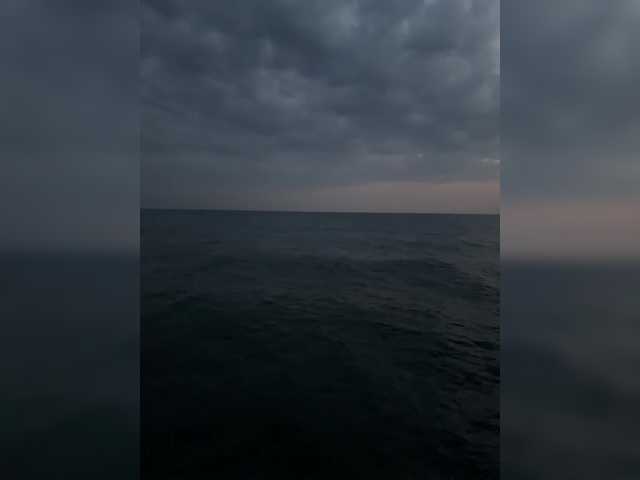 Vai a chattare su OrgazMia OrgazMia