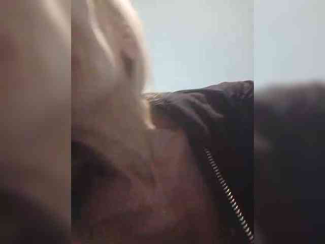 Victoria-sexi webcam