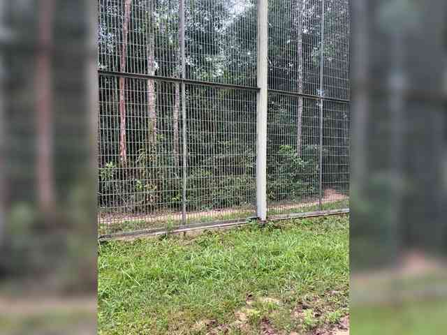 MoanaQliphoth webcam