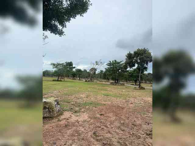 MoanaQliphoth webcam