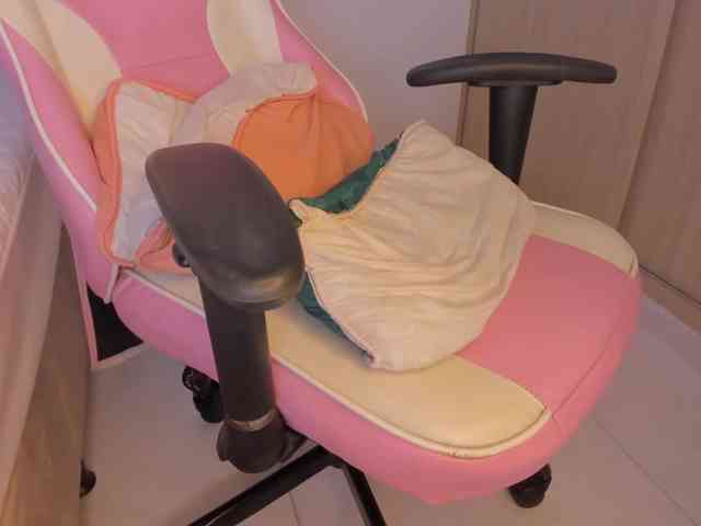 isa-bunny1 webcam