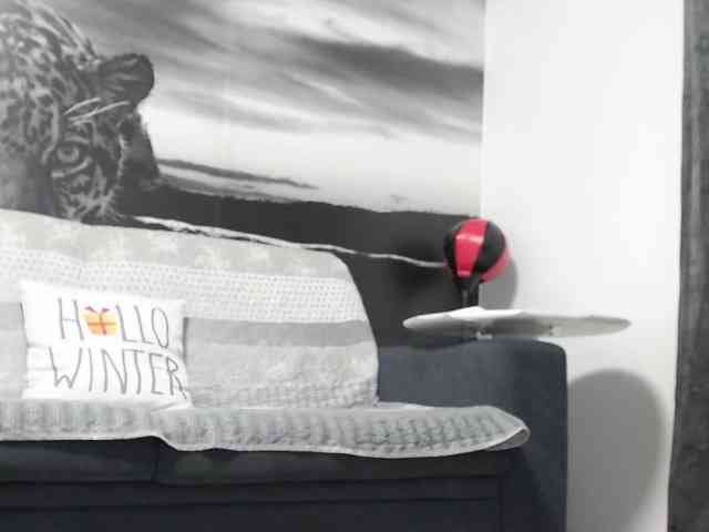 sweetandreea webcam