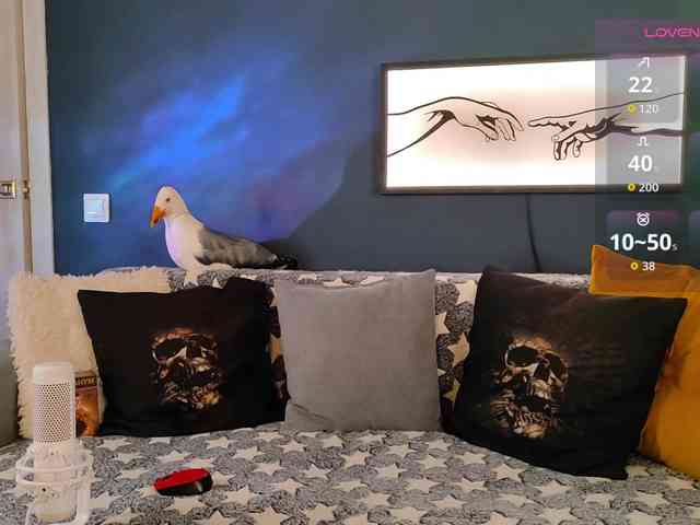 RockBelyash webcam