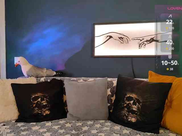 RockBelyash webcam