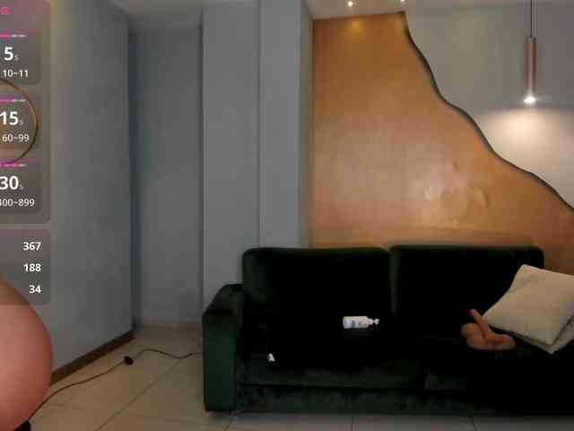 ToriCross webcam
