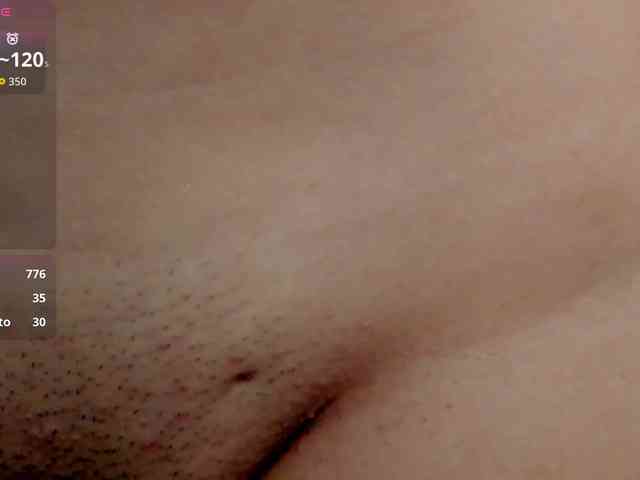 ToriCross webcam