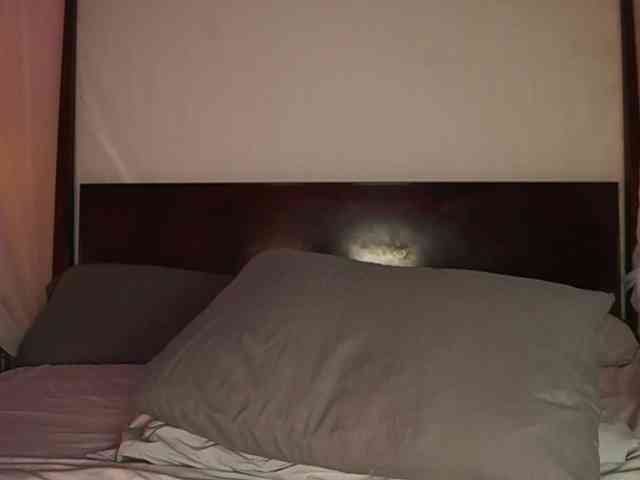 katyerave webcam